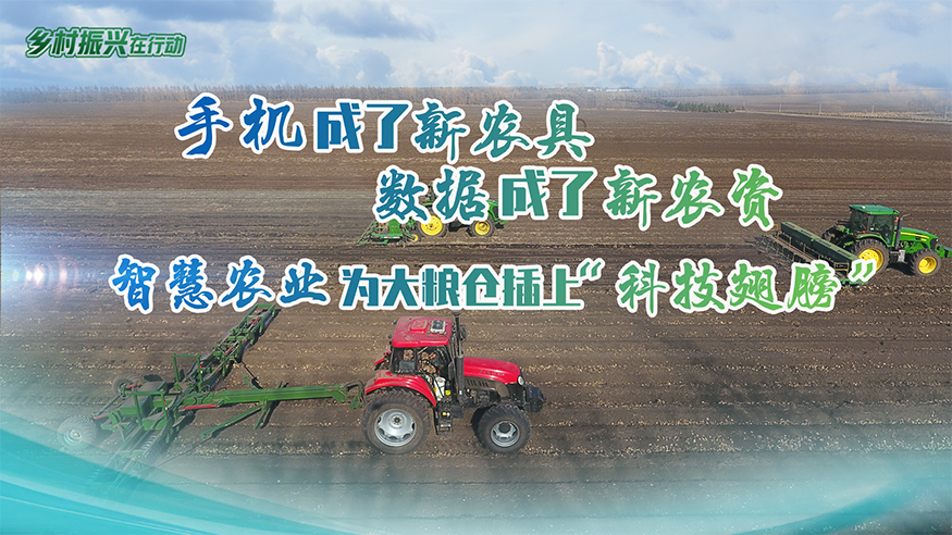 乡村振兴在行动｜手机成了新农具 数据成了新农资 智慧农业为大粮仓插上“科技翅膀”-新华网