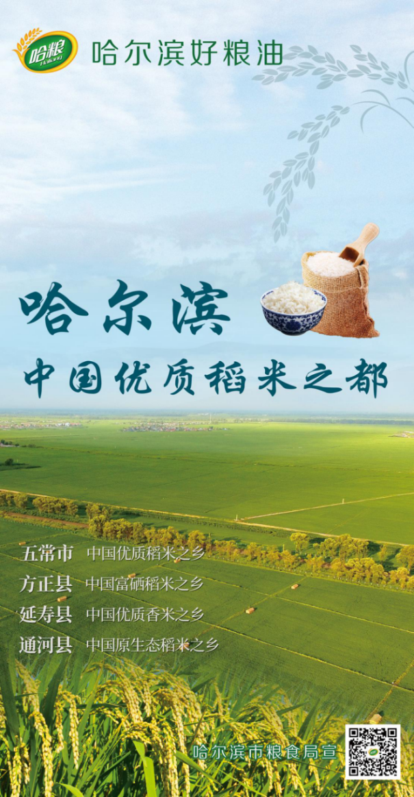 开云 开云体育以品牌建设为引领 推动粮食产业高质量发展—哈尔滨市粮食局深入开展“能力作风建设年”活动(图2)
