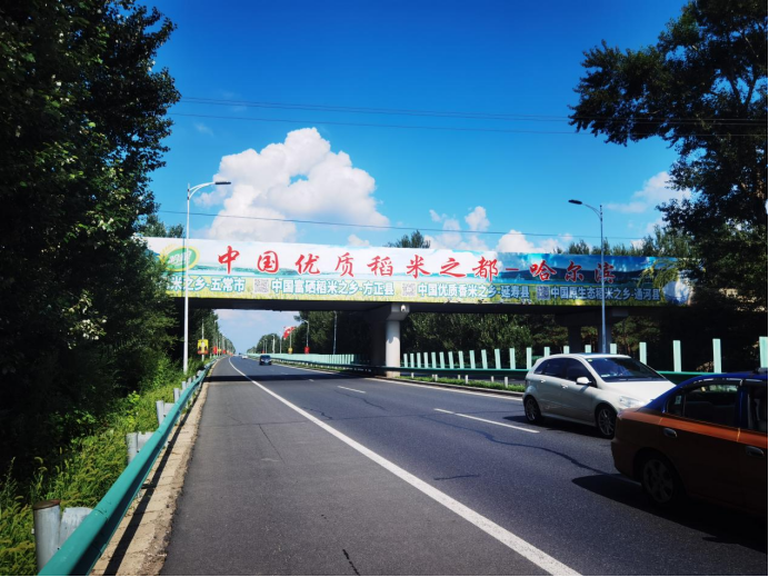 开云 开云体育以品牌建设为引领 推动粮食产业高质量发展—哈尔滨市粮食局深入开展“能力作风建设年”活动(图10)