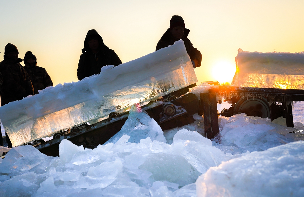 哈爾濱進入&ldquo;採冰季&rdquo;