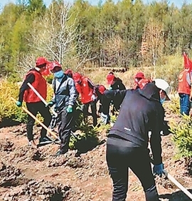 北安开展共植青年林活动