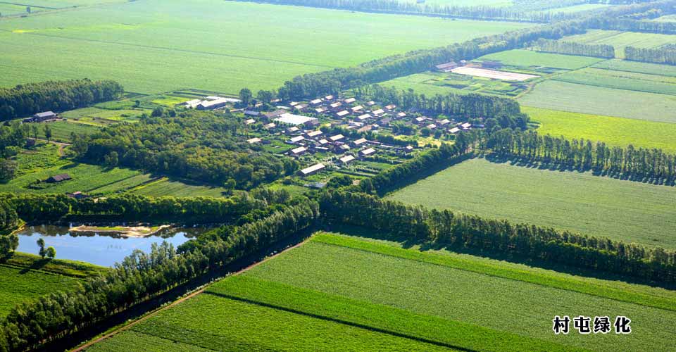 樟子松治沙片林+村屯绿化