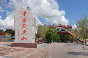 柴河林业局_黑龙江频道_新华网