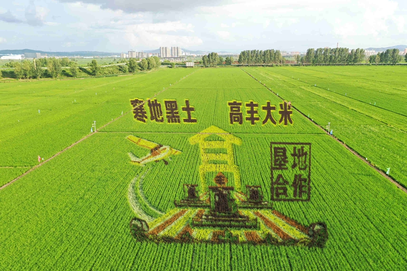 且以诗意共远方 双鸭山市集贤县全力推动Kaiyun 开云体育文旅产业融合发展(图8)